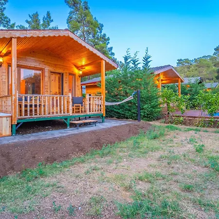 Bed and Breakfast Blue Life Φετιγιέ