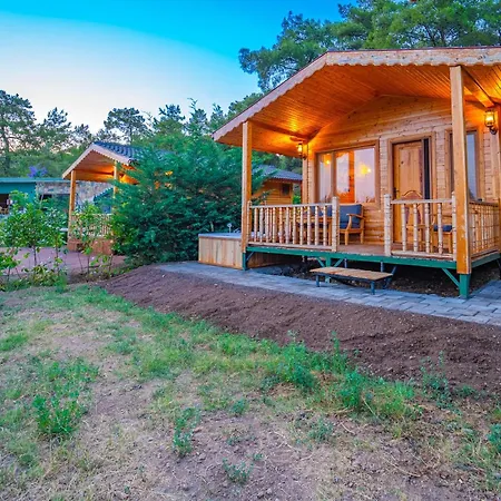 Blue Life Bed and Breakfast Φετιγιέ