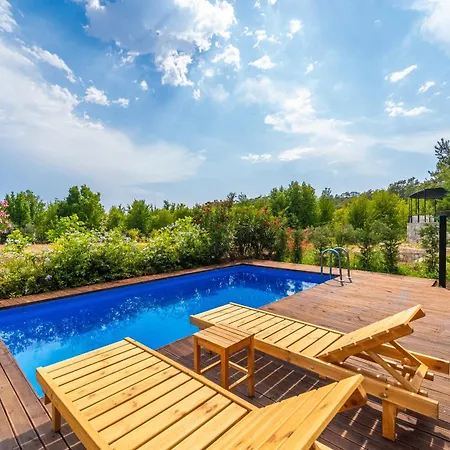 Bed and Breakfast Blue Life